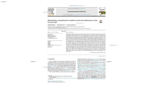 Microplastics contamination in molluscs from the northern part of the Persian Gulf*